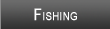 Lake Chatuge Fishing